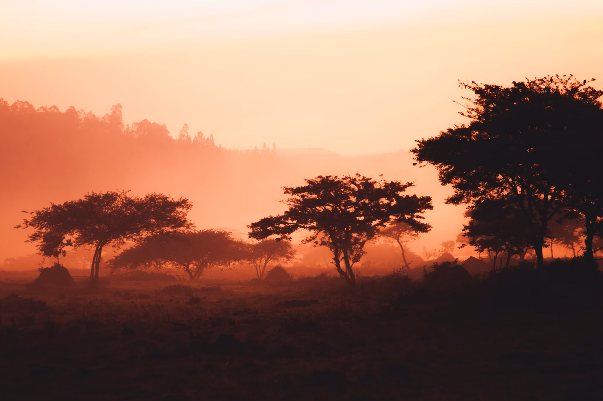 Rwanda Tax Residency: Your Complete Guide to Becoming a Resident