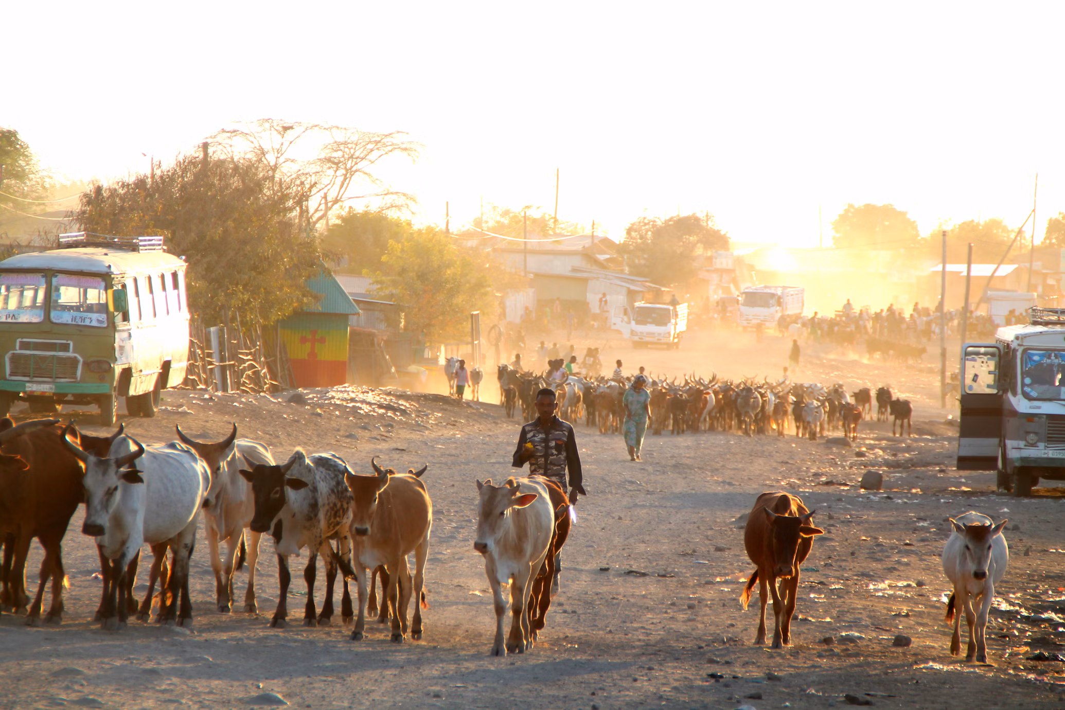 Ethiopia Tax Residency: Your Complete Guide to Becoming a Resident