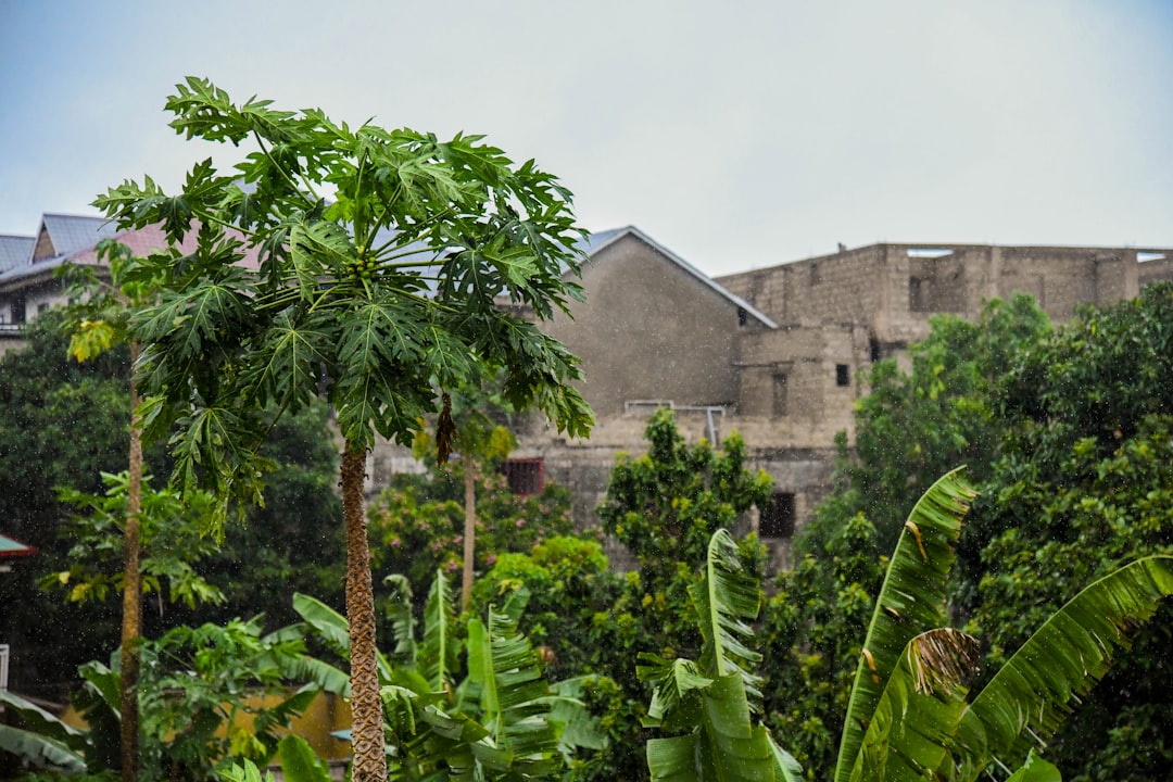 Democratic Republic of the Congo