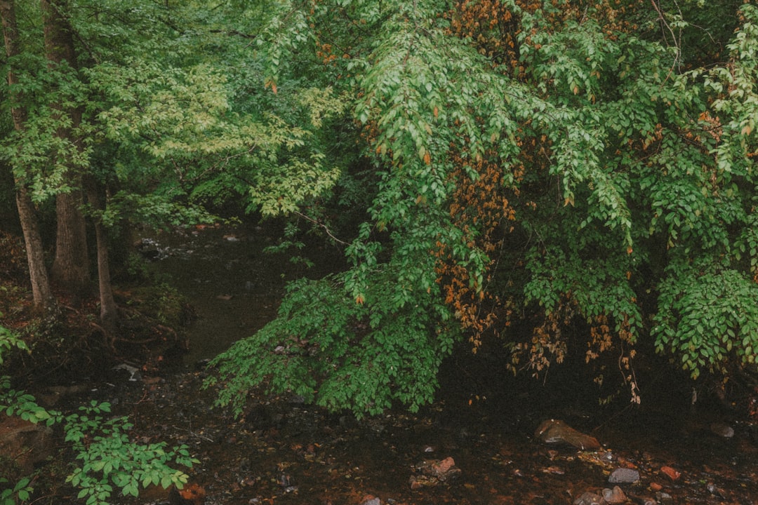 North Carolina, United States